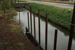 Palen-slootkant